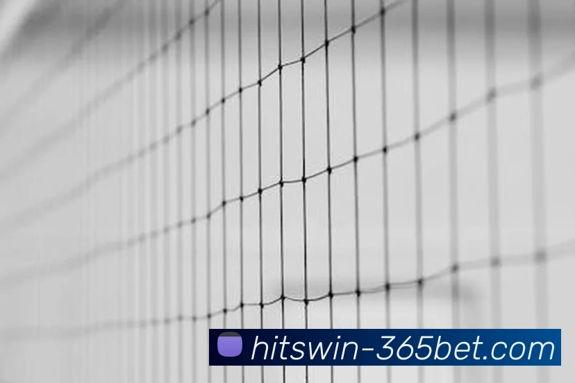 365bet平台生态图